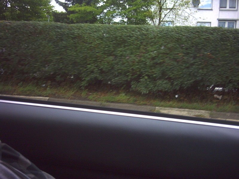 klick aufs Bild f�r weiter