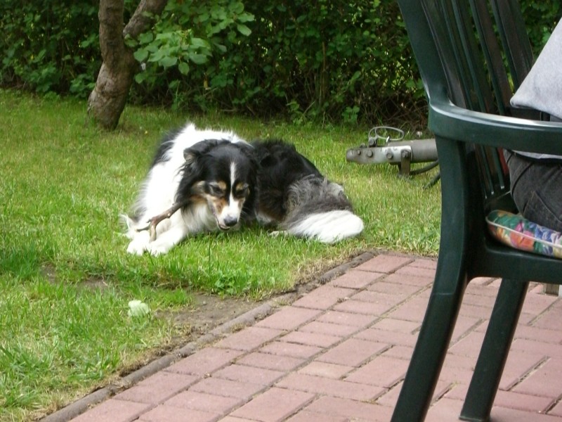 klick aufs Bild fr weiter